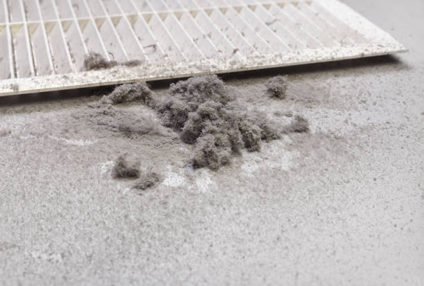 Best Commercial HVAC Duct Cleaning  in Thomasville, AL