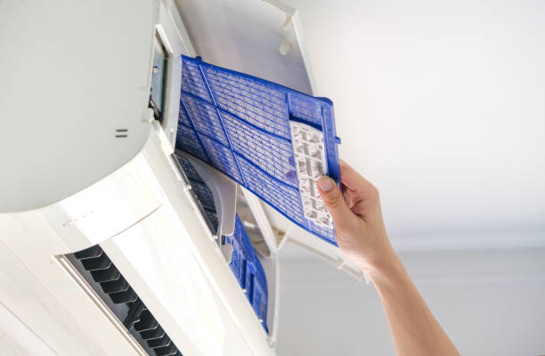 Best Duct Cleaning Specialists  in Thomasville, AL
